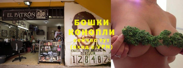трава Богородицк