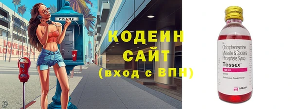 прущий лед Богданович