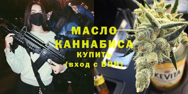 прущий лед Богданович
