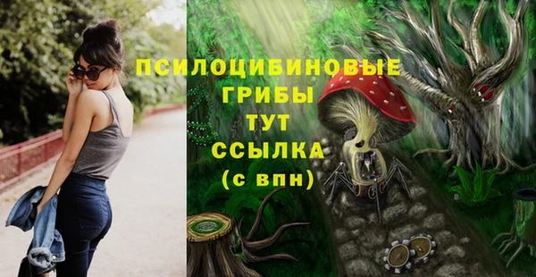 прущий лед Богданович