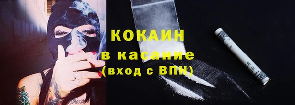 трава Богородицк