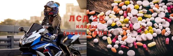 прущий лед Богданович