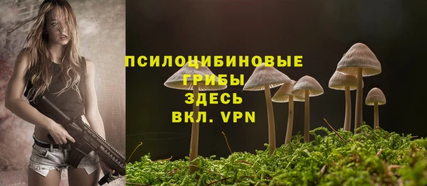 прущие крисы Богородск