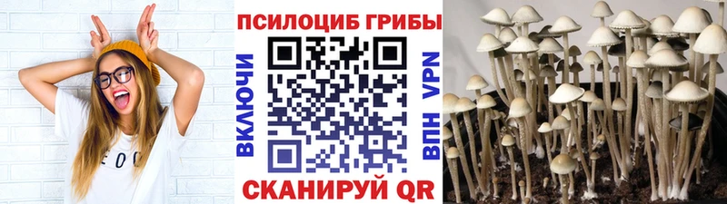 Галлюциногенные грибы MAGIC MUSHROOMS  купить наркотики сайты  Жуковский 
